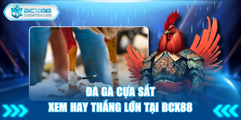Đá Gà Cựa Sắt - Xem Hay Thắng Thưởng Lớn tại BCX88 1 Đá gà cựa sắt