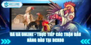 đá gà online
