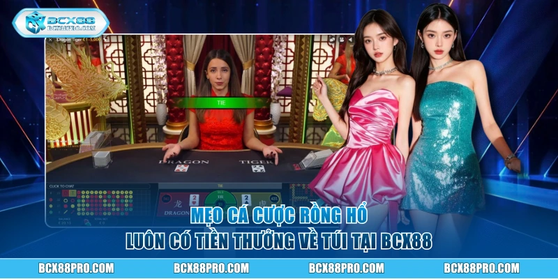 Mẹo cá cược rồng hổ luôn có tiền thưởng về túi