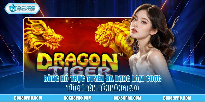  Rồng hổ trực tuyến đa dạng loại cược từ cơ bản đến nâng cao