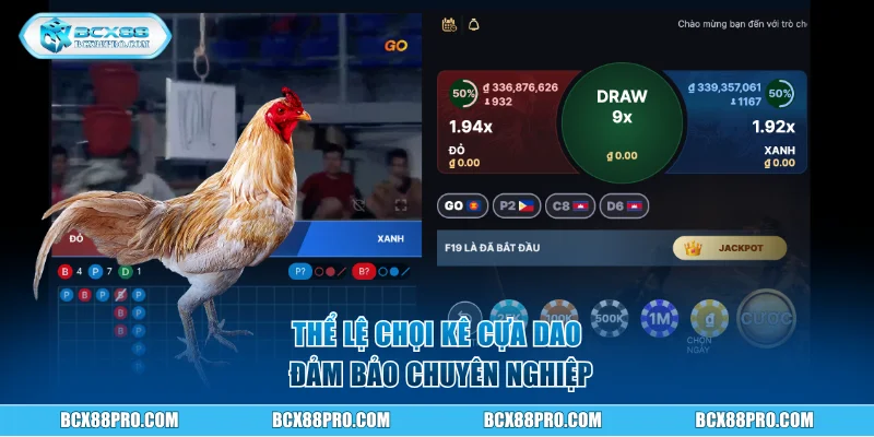 Đá Gà Cựa Dao BCX88 Và Thể Lệ Tổ Chức Chuyên Nghiệp 3 Thể lệ chọi kê cựa dao đảm bảo chuyên nghiệp