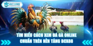 cách xem đá gà online