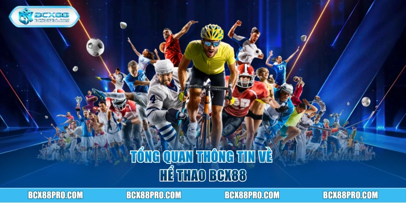 Tổng quan thông tin về thể thao BCX88