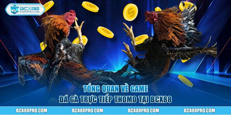 Tổng quan về game đá gà trực tiếp Thomo BCX88